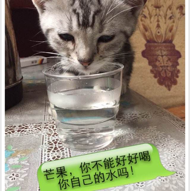 旺研究生学院文凭毕业证哪里有卖